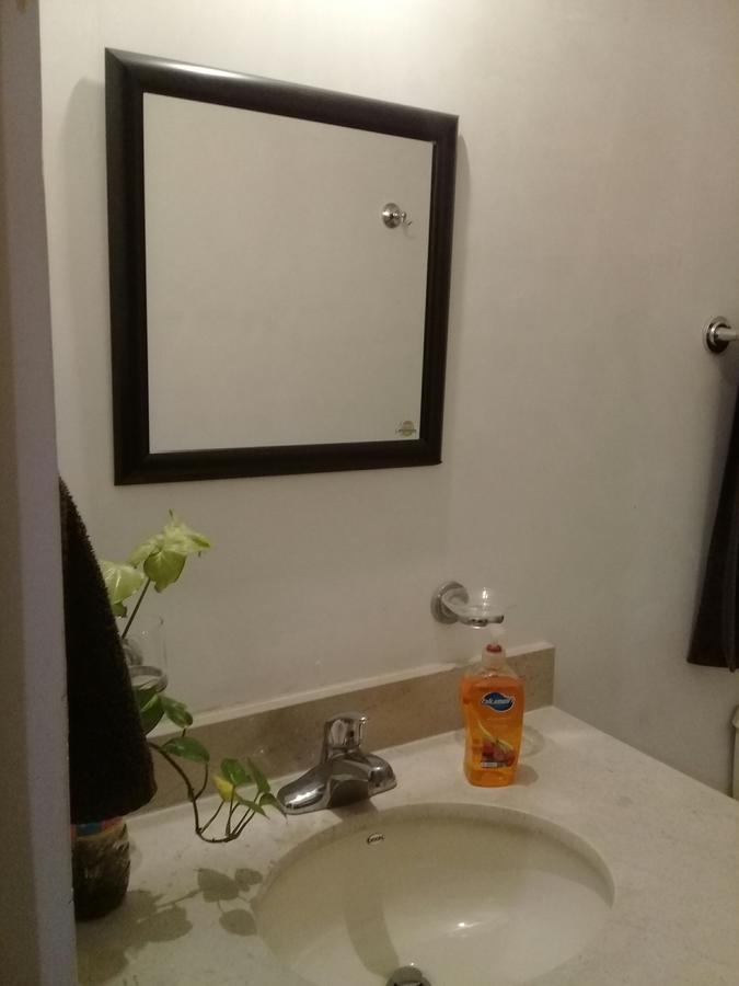 Consulado Suites Monterrey Ngoại thất bức ảnh